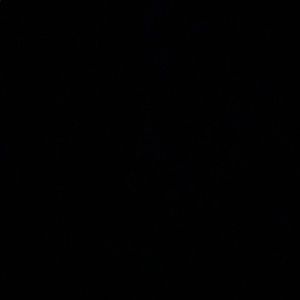 Meet your Posher, Fabian